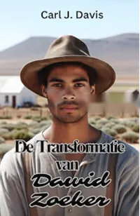 Book cover of De Transformatie van Dawid Zoeker: Dutch edition by Dr Carl J Davis (Dutch edition)